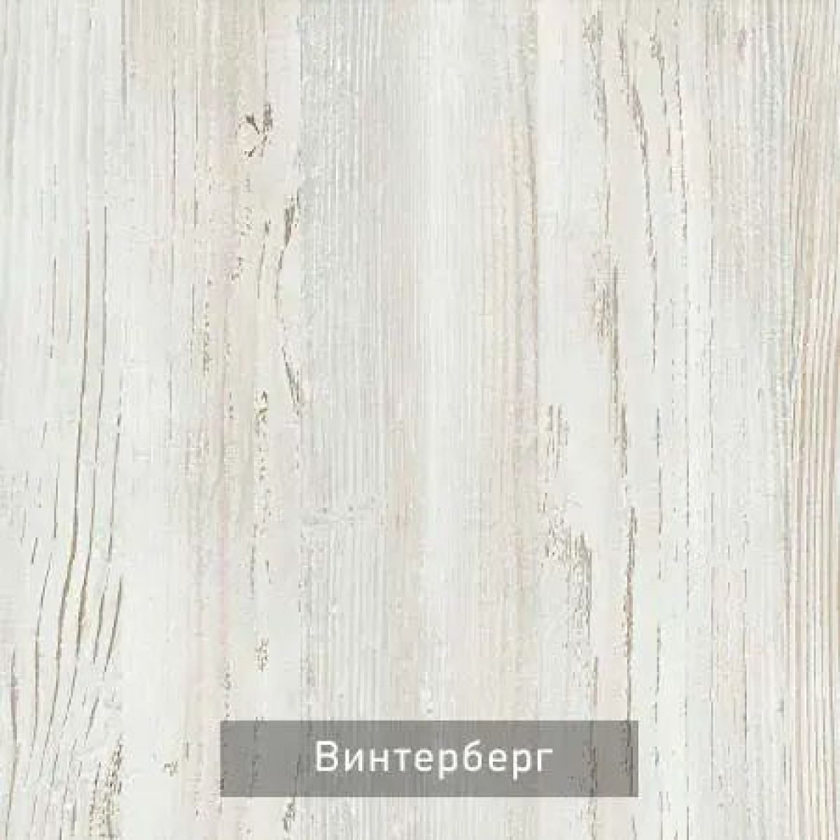 ВИНТЕР - 6.16 Шкаф-купе 1600 без зеркала | фото 5