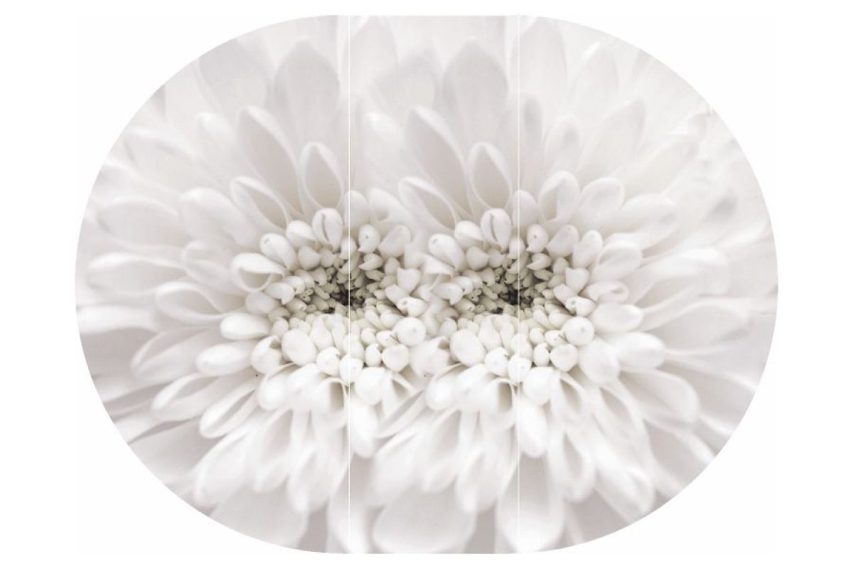 Стол круглый Бостон раздвижной Флоренс | фото 3