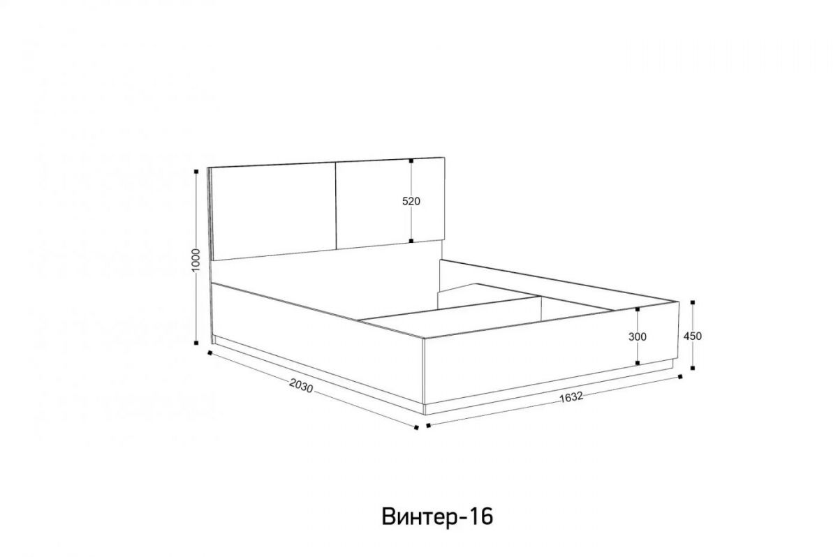 ВИНТЕР - 16 ПМ Кровать 1600 с ортопедом с ПМ НК | фото 2