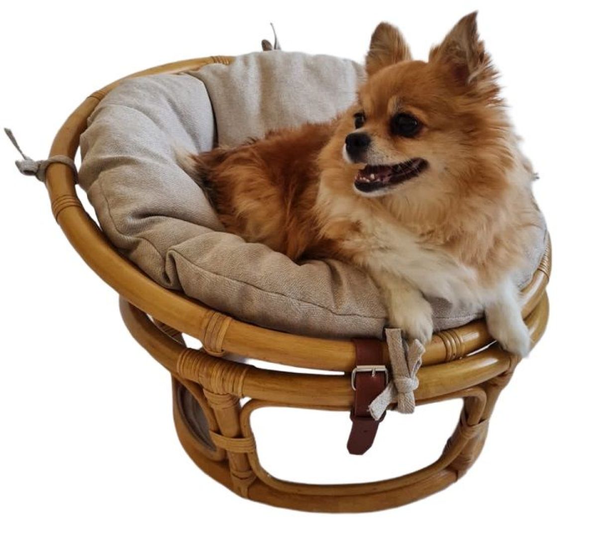 Кресло Папасан 23/01F (с подушкой) для домашних животных | фото 2