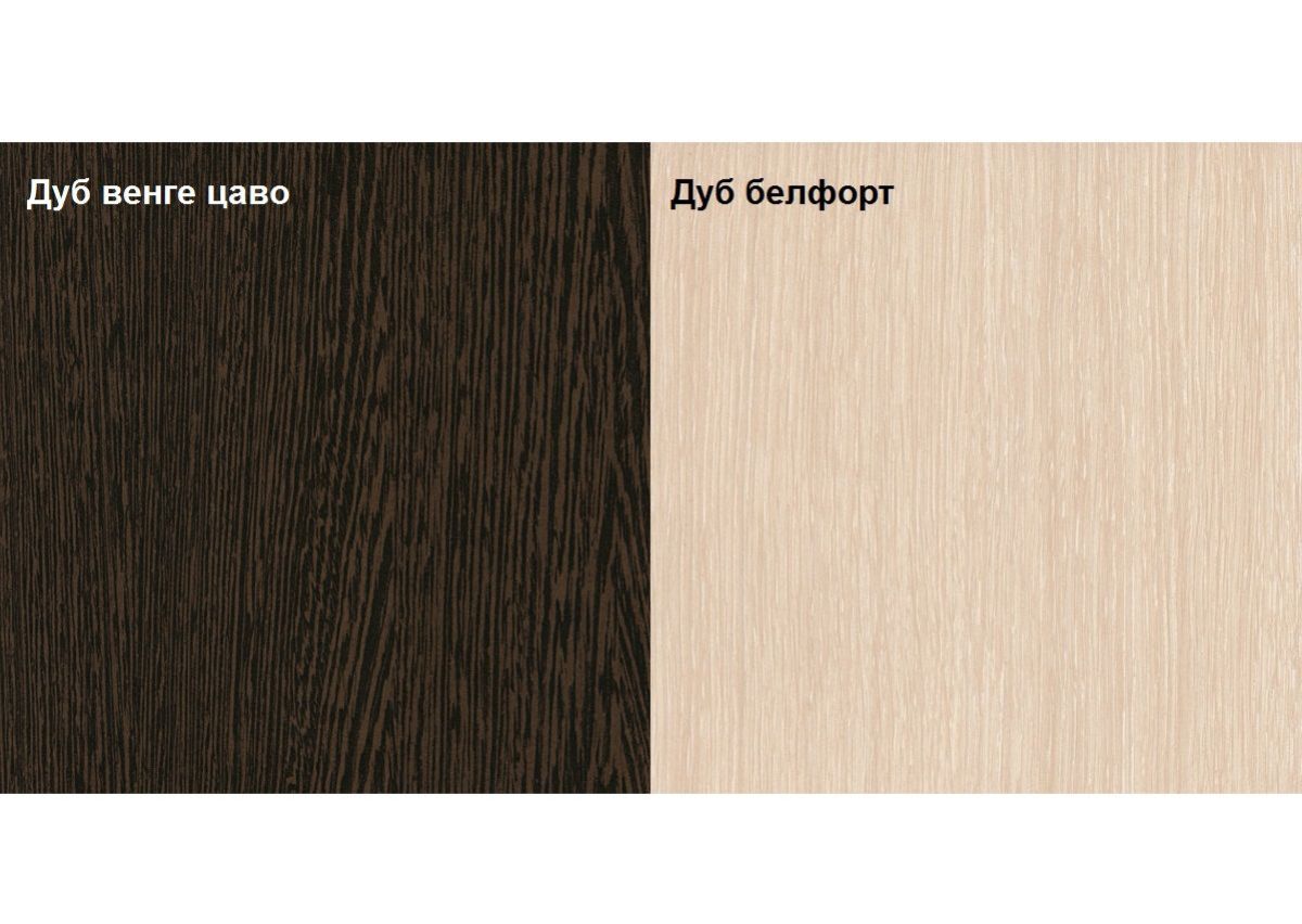 ПРАГА Гостинная (Венге/Дуб Белфорт) | фото 3