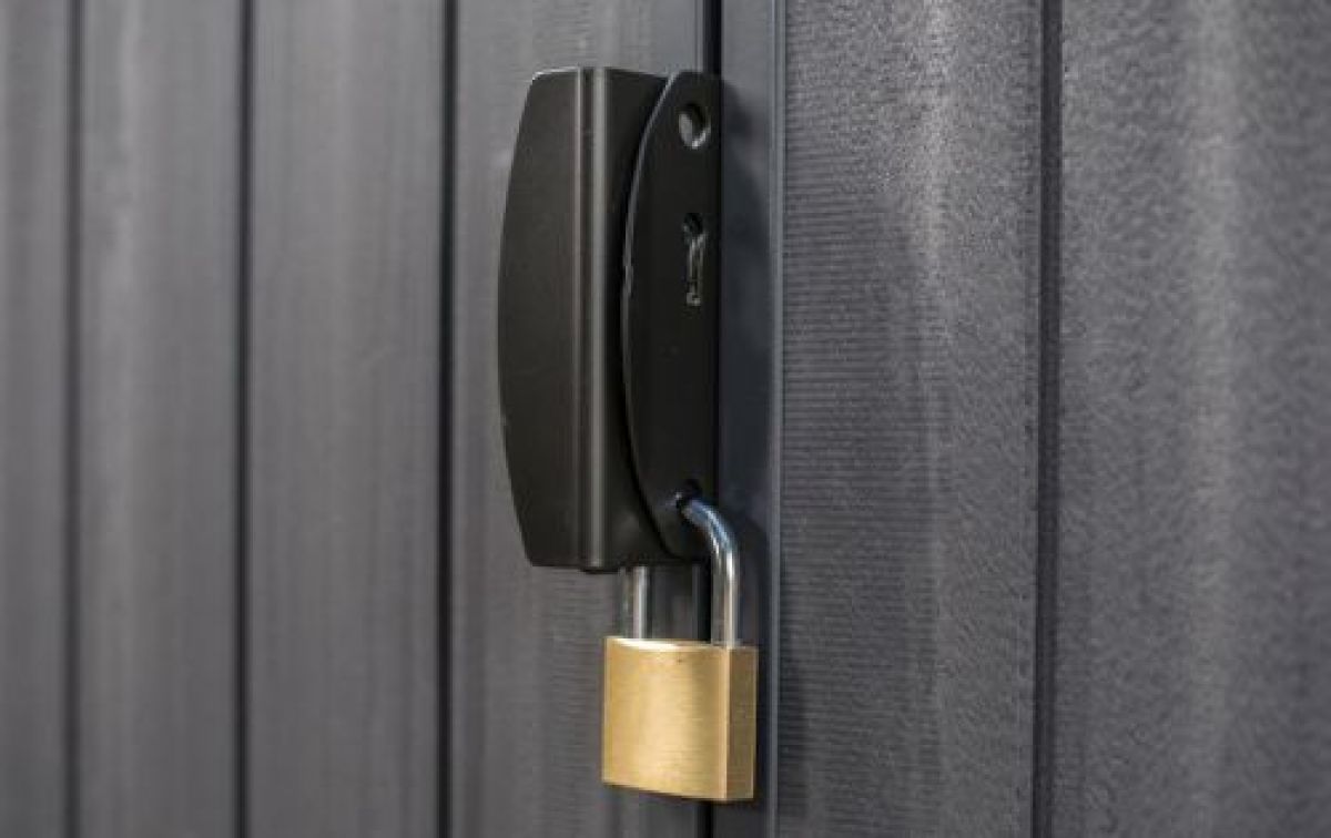 Сарай Дарвин 4х6 (Darwin 4x6) серый | фото 6